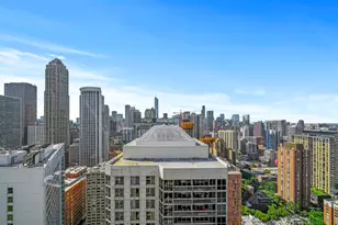 10 E Delaware Pl, Chicago, IL 60611 - Photo 41