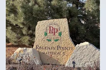 997 Regent Drive, Matteson, IL 60443 - Photo 19