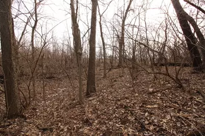 1193 Georgias Way, New Lenox, IL 60451 - Photo 3