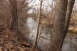 1193 Georgias Way, New Lenox, IL 60451 - Photo 5