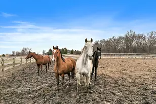 14N700 Factly Rd, Sycamore, IL 60178 - Photo 35