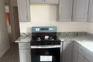 9126 S Emerald Ave, Chicago, IL 60620 - Photo 3