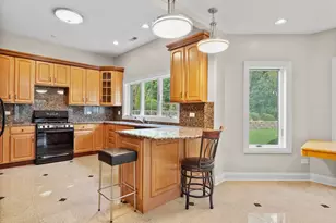 20659 Abbey Dr, Frankfort, IL 60423 - Photo 53