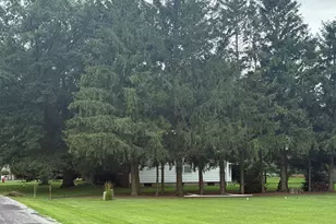 203 S Whitehead St, Tolono, IL 61880 - Photo 33