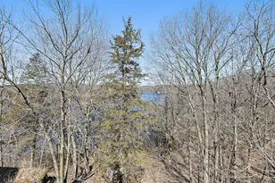 A22 Long Bay Point Dr, Galena, IL 61036 - Photo 17