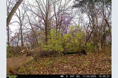 10385 N Rock City Road, German Valley, IL 61039 - Photo 129