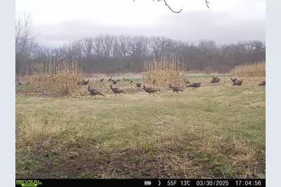 10385 N Rock City Road, German Valley, IL 61039 - Photo 163