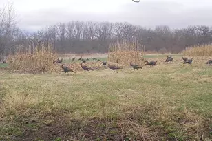 10385 N Rock City Rd, German Valley, IL 61039 - Photo 163