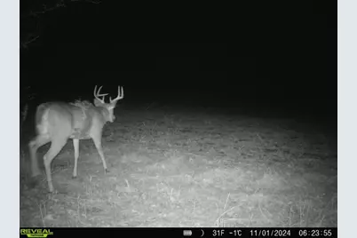 10385 N Rock City Road, German Valley, IL 61039 - Photo 141