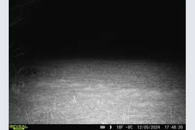 10385 N Rock City Road, German Valley, IL 61039 - Photo 139