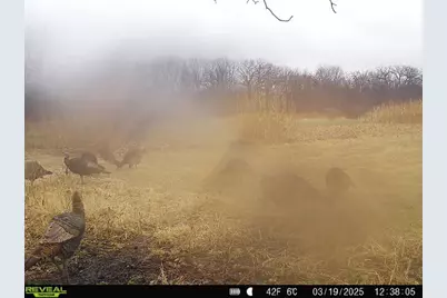 10385 N Rock City Road, German Valley, IL 61039 - Photo 159