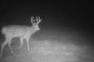 10385 N Rock City Rd, German Valley, IL 61039 - Photo 145