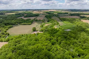 10385 N Rock City Rd, German Valley, IL 61039 - Photo 73