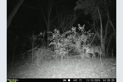 10385 N Rock City Road, German Valley, IL 61039 - Photo 131