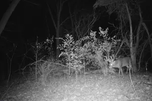 10385 N Rock City Rd, German Valley, IL 61039 - Photo 131