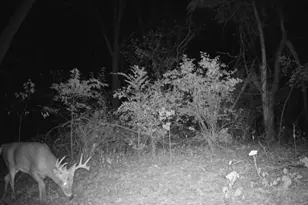 10385 N Rock City Rd, German Valley, IL 61039 - Photo 125