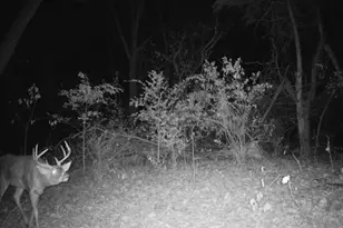 10385 N Rock City Rd, German Valley, IL 61039 - Photo 127