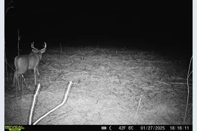 10385 N Rock City Road, German Valley, IL 61039 - Photo 109