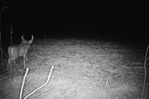 10385 N Rock City Rd, German Valley, IL 61039 - Photo 109