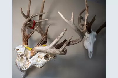 10385 N Rock City Road, German Valley, IL 61039 - Photo 33