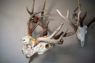 10385 N Rock City Rd, German Valley, IL 61039 - Photo 33