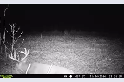 10385 N Rock City Road, German Valley, IL 61039 - Photo 117