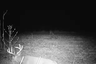 10385 N Rock City Rd, German Valley, IL 61039 - Photo 117