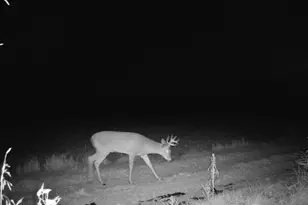 10385 N Rock City Rd, German Valley, IL 61039 - Photo 133