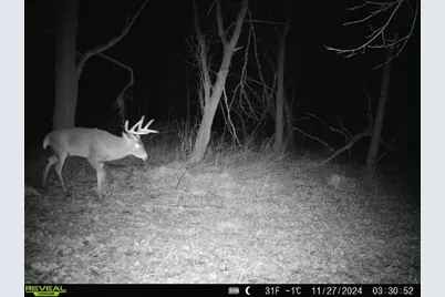 10385 N Rock City Road, German Valley, IL 61039 - Photo 155