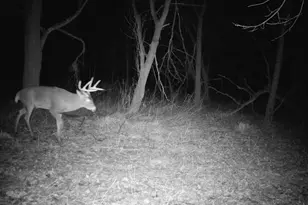 10385 N Rock City Rd, German Valley, IL 61039 - Photo 155