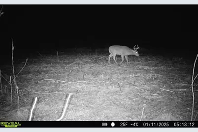 10385 N Rock City Road, German Valley, IL 61039 - Photo 119