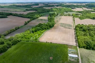 10385 N Rock City Rd, German Valley, IL 61039 - Photo 53