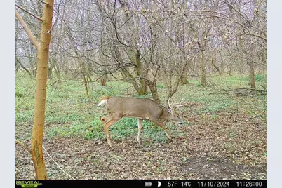 10385 N Rock City Road, German Valley, IL 61039 - Photo 123