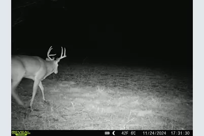 10385 N Rock City Road, German Valley, IL 61039 - Photo 147