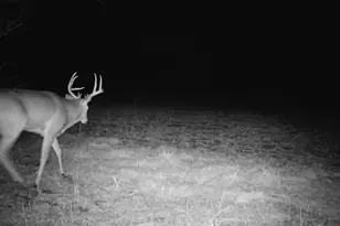 10385 N Rock City Rd, German Valley, IL 61039 - Photo 147