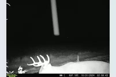 10385 N Rock City Road, German Valley, IL 61039 - Photo 137