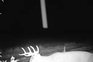 10385 N Rock City Rd, German Valley, IL 61039 - Photo 137