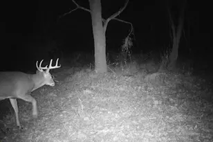 10385 N Rock City Rd, German Valley, IL 61039 - Photo 151