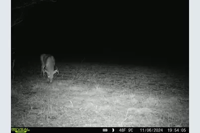 10385 N Rock City Road, German Valley, IL 61039 - Photo 143