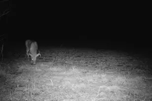 10385 N Rock City Rd, German Valley, IL 61039 - Photo 143