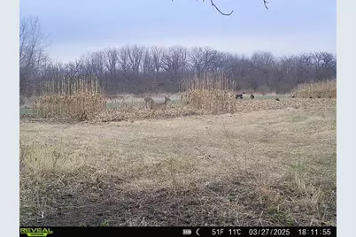 10385 N Rock City Road, German Valley, IL 61039 - Photo 161