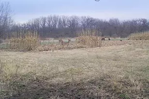 10385 N Rock City Rd, German Valley, IL 61039 - Photo 161