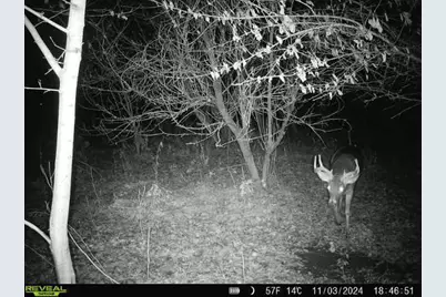 10385 N Rock City Road, German Valley, IL 61039 - Photo 105