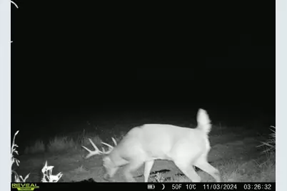 10385 N Rock City Road, German Valley, IL 61039 - Photo 135