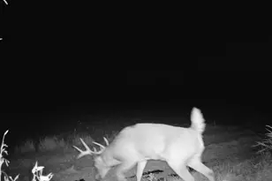 10385 N Rock City Rd, German Valley, IL 61039 - Photo 135