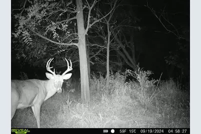 10385 N Rock City Road, German Valley, IL 61039 - Photo 103