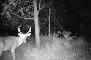 10385 N Rock City Rd, German Valley, IL 61039 - Photo 103