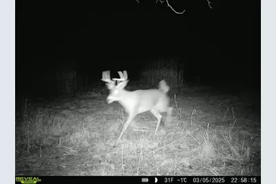 10385 N Rock City Road, German Valley, IL 61039 - Photo 157