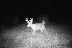 10385 N Rock City Rd, German Valley, IL 61039 - Photo 157