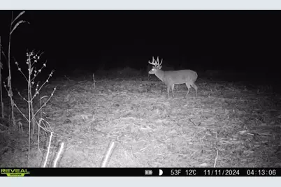 10385 N Rock City Road, German Valley, IL 61039 - Photo 115